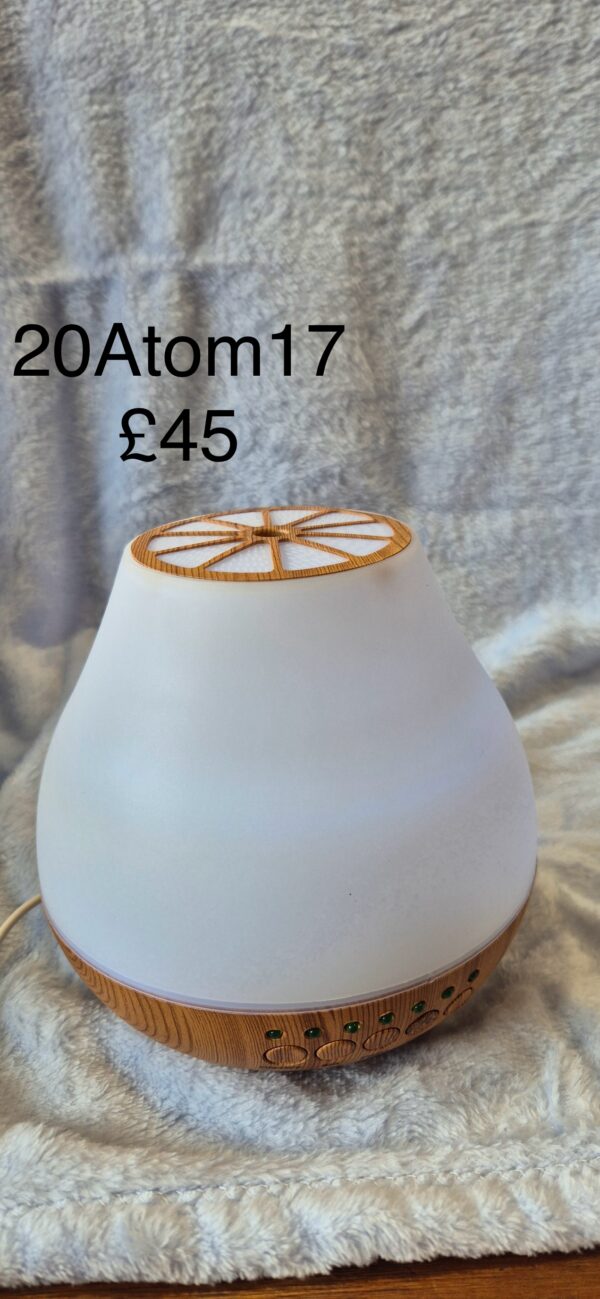 Essential Oil Diffuser 17